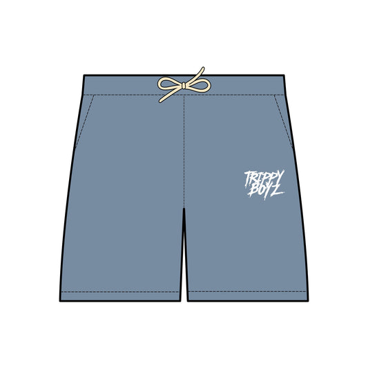 TBZ Lightweight Shorts™️(Variety Colors)